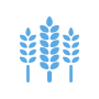 Agriculture paysanne